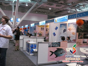 新天會展 專業國內國際展會服務商的市場調查策略與價值